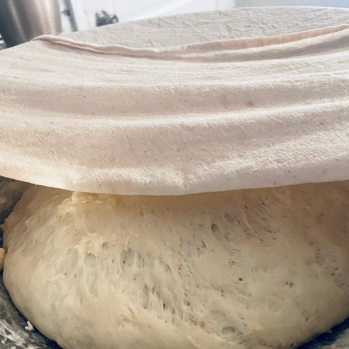 Flour sack cloths are wonderful for covering dough