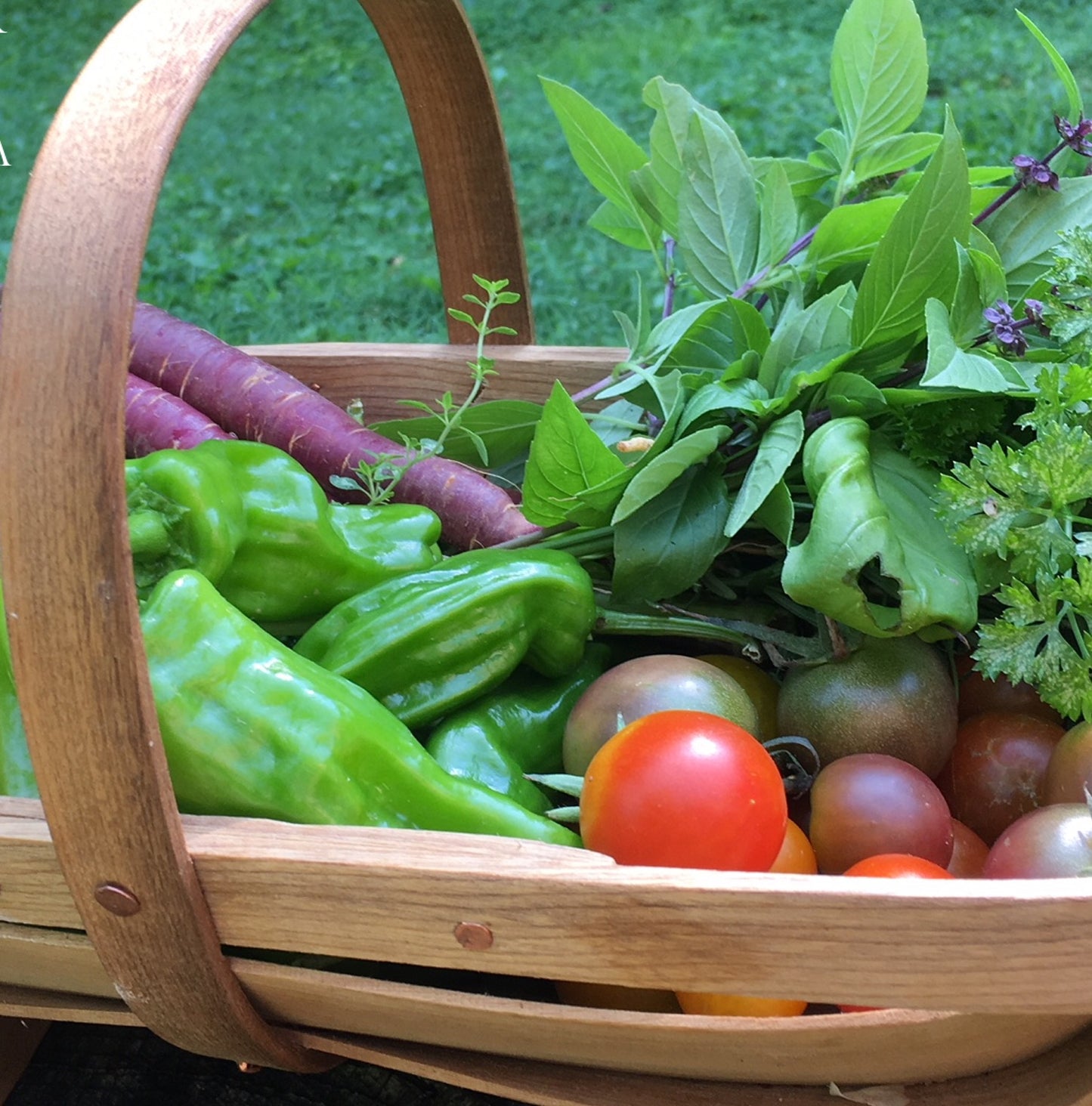 Hand Made Garden Trug. USA. Small