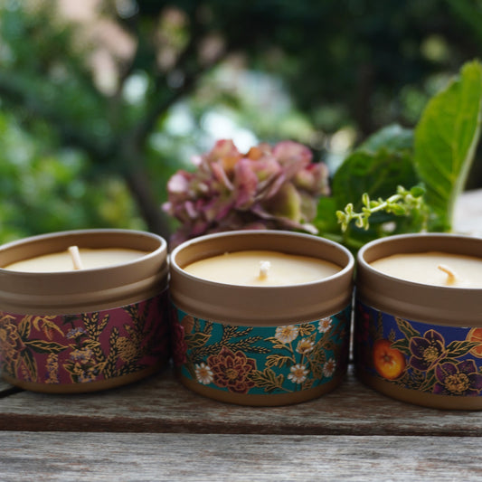 Beeswax Tin Gift Set